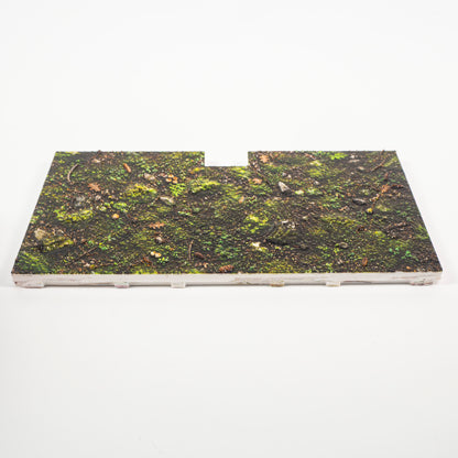 Museum Snap Base